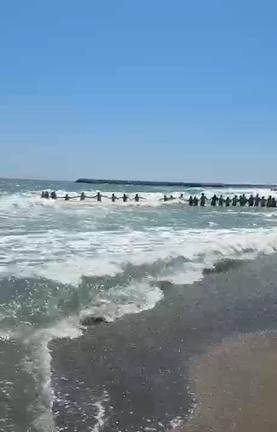 Steagul roșu ignorat pe litoral. Un bărbat s-a înecat. Patru persoane salvate la limită după ce turiștii au format lanț uman 999245