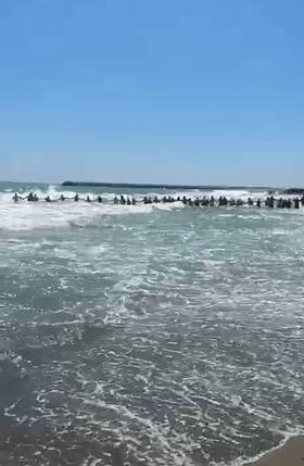 Steagul roșu ignorat pe litoral. Un bărbat s-a înecat. Patru persoane salvate la limită după ce turiștii au format lanț uman 999246