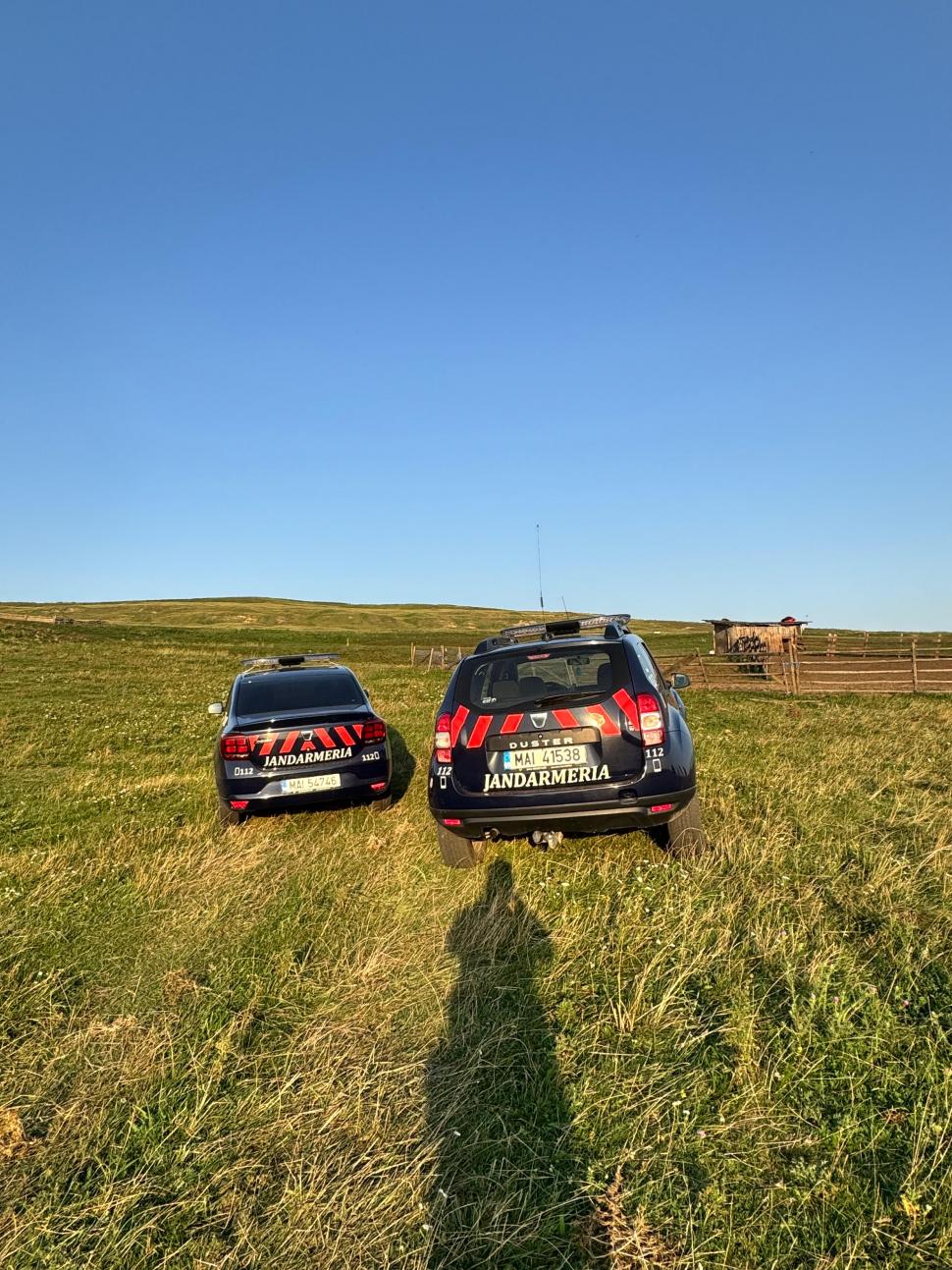 Un râs a scăpat pe străzile din Fălticeni. Locuitorii, avertizați prin mesaj RO-ALERT: „Nu încercați să vă fotografiați cu el!” 999312