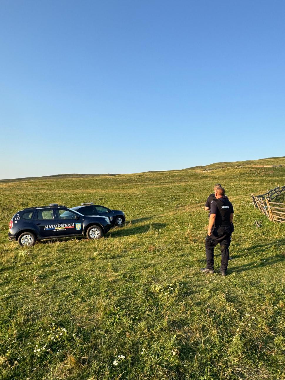 Un râs a scăpat pe străzile din Fălticeni. Locuitorii, avertizați prin mesaj RO-ALERT: „Nu încercați să vă fotografiați cu el!” 999316