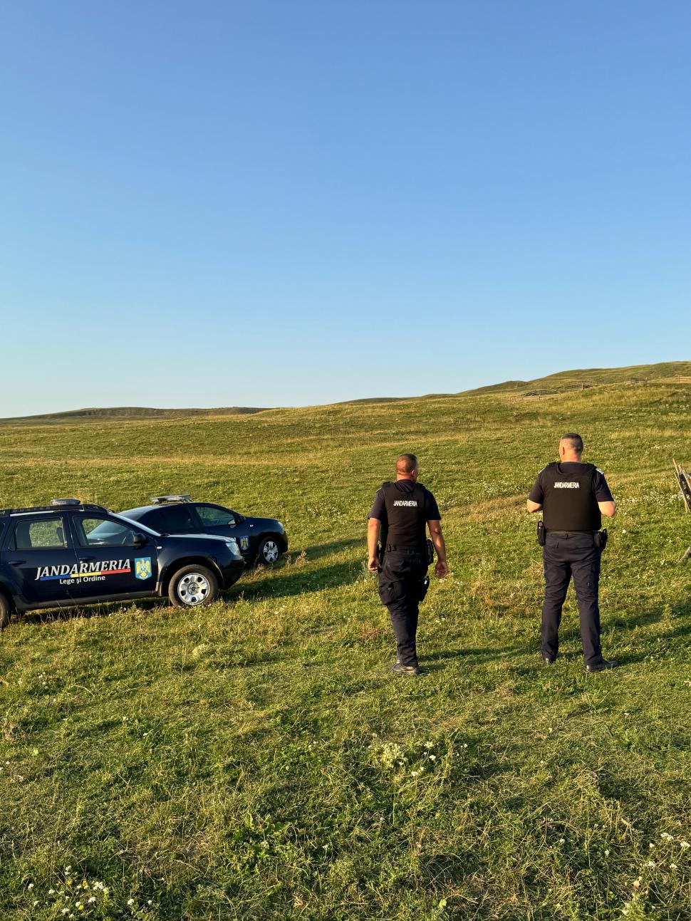 Un râs a scăpat pe străzile din Fălticeni. Locuitorii, avertizați prin mesaj RO-ALERT: „Nu încercați să vă fotografiați cu el!” 999317