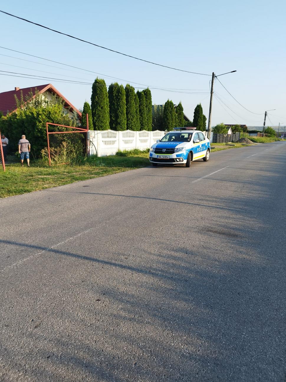 Un râs a scăpat pe străzile din Fălticeni. Locuitorii, avertizați prin mesaj RO-ALERT: „Nu încercați să vă fotografiați cu el!” 999319