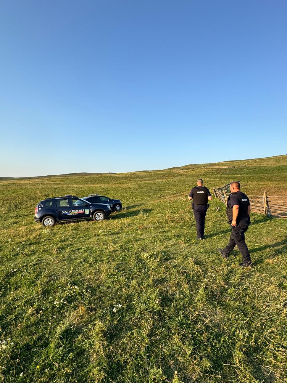 Un râs a scăpat pe străzile din Fălticeni. Locuitorii, avertizați prin mesaj RO-ALERT: „Nu încercați să vă fotografiați cu el!” 999320