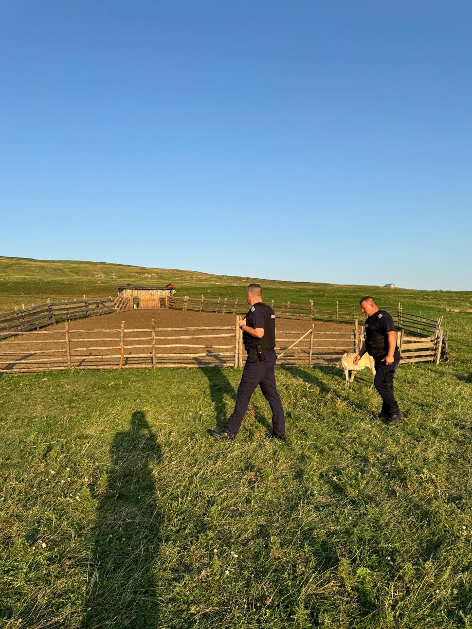 Un râs a scăpat pe străzile din Fălticeni. Locuitorii, avertizați prin mesaj RO-ALERT: „Nu încercați să vă fotografiați cu el!” 999321