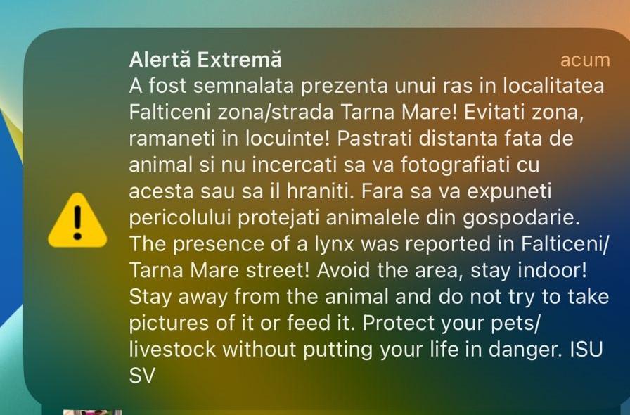 Un râs a scăpat pe străzile din Fălticeni. Locuitorii, avertizați prin mesaj RO-ALERT: „Nu încercați să vă fotografiați cu el!” 999324