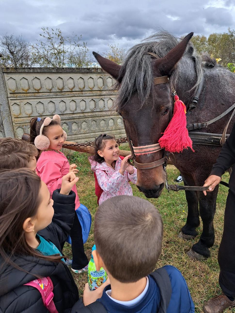 Banatul autentic: „Mic dejun la Margina”, ideea care a transformat un sat izolat în atracție globală 999443
