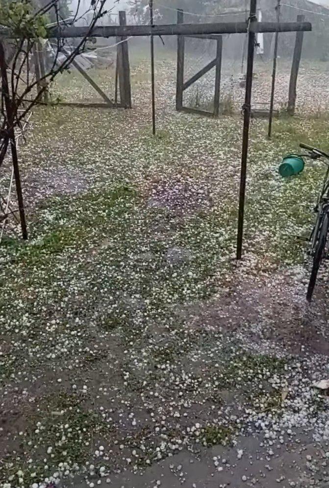 Furtunile fac ravagii: peste 2.200 de oameni fără curent în Harghita. Grindină de mari dimensiuni în Maramureș și Hunedoara 999453