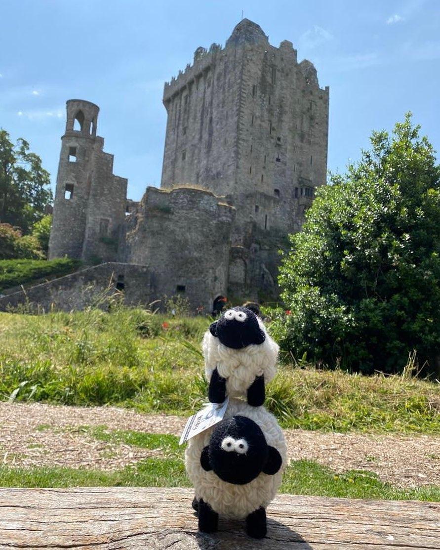 Alternativa la păpușile Labubu: Oițele La Baa Baa au ajuns virale pe TikTok și acum inventatorii primesc comenzi din toată lumea 999968