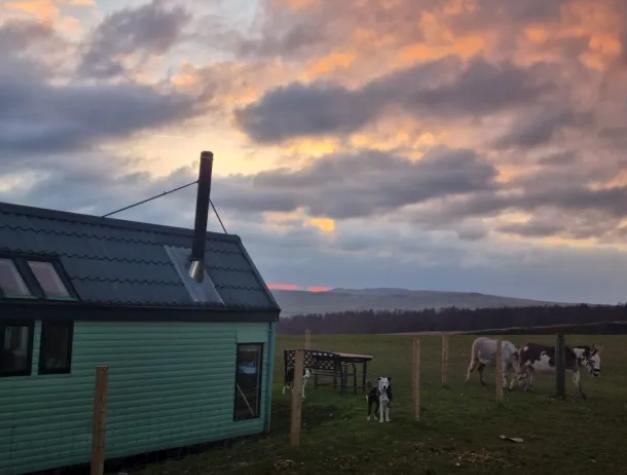 Doi tineri au decis să renunțe la joburi, curent electric și WiFi și trăiesc cu 1.500 de lei pe lună 1000016