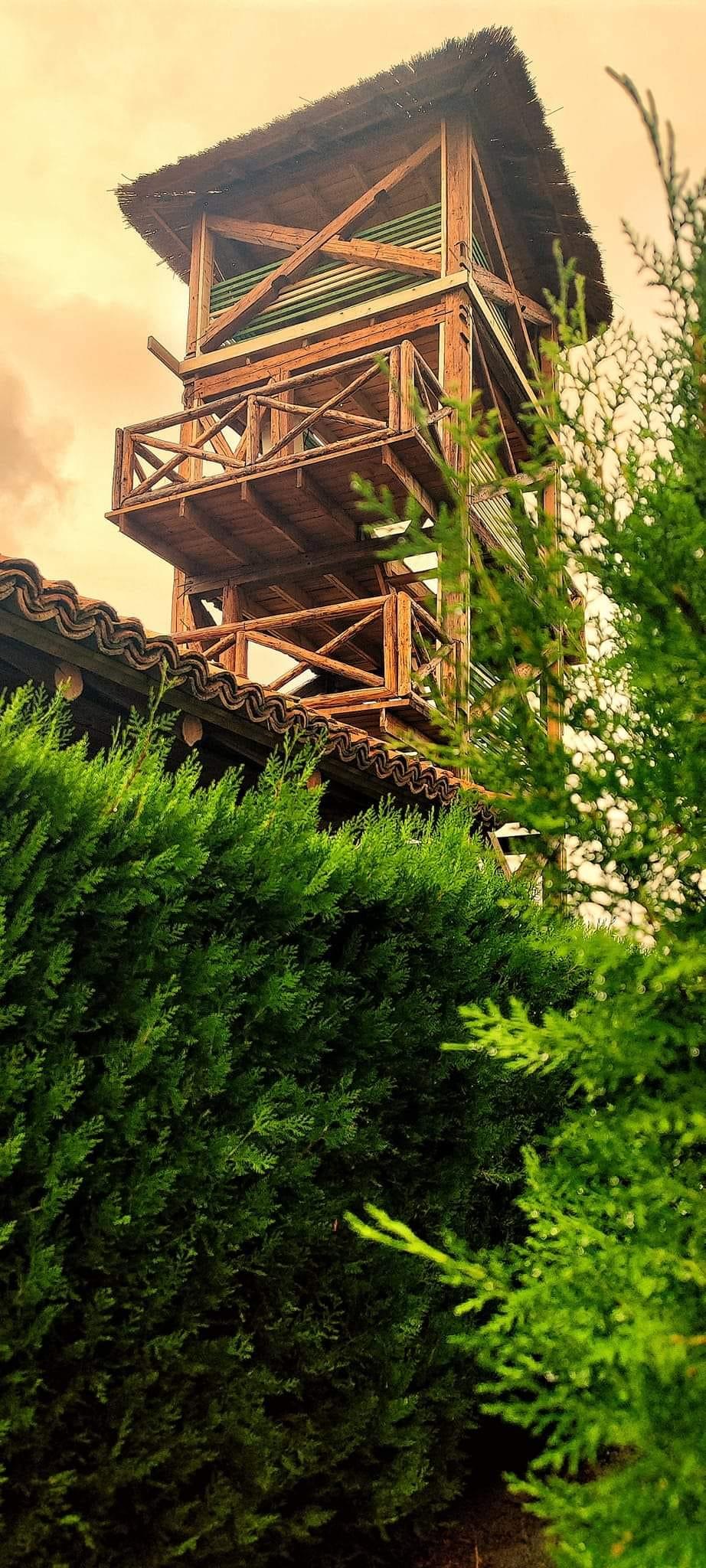 Luminaria, primul festival de baloane cu aer cald organizat la mare, începe vineri, la Corbu. Ce artiști cântă și cum arată locul unic 1000243