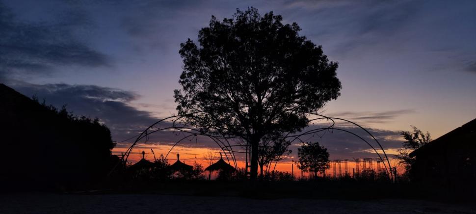 Luminaria, primul festival de baloane cu aer cald organizat la mare, începe vineri, la Corbu. Ce artiști cântă și cum arată locul unic 1000247