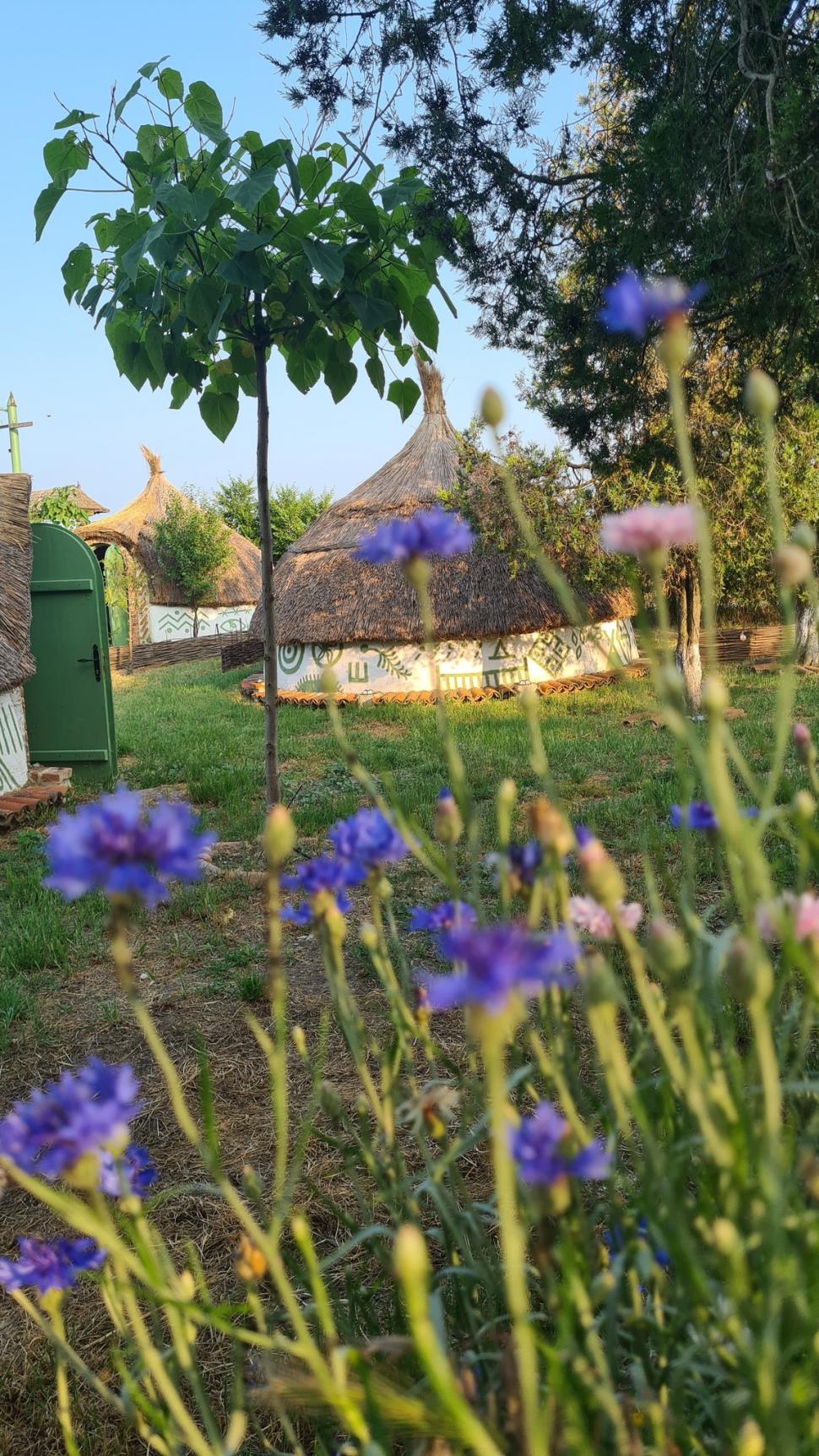 Luminaria, primul festival de baloane cu aer cald organizat la mare, începe vineri, la Corbu. Ce artiști cântă și cum arată locul unic 1000261