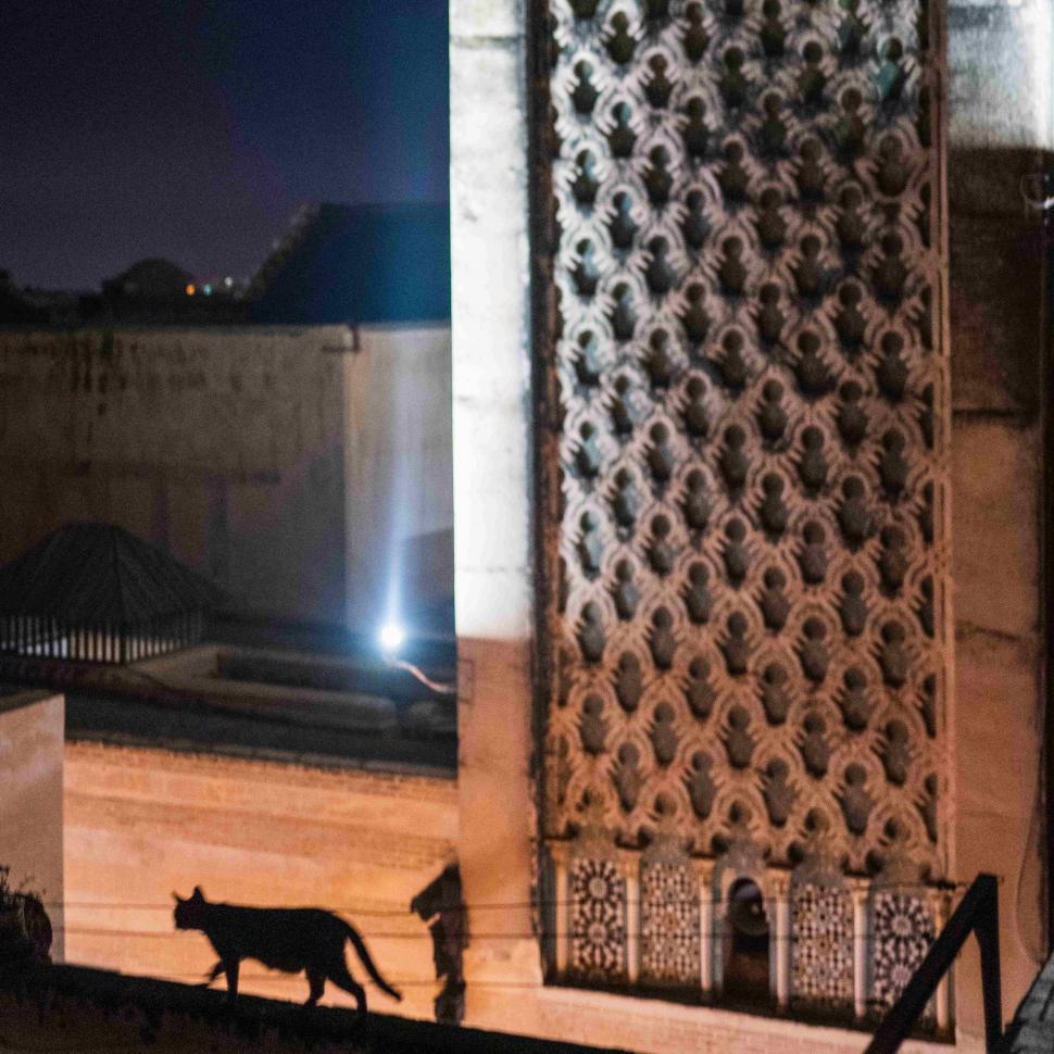 Așa arată cel mai prietenos oraș din lume pentru pietoni. A intrat în Cartea Recordurilor ca fiind cea mai mare zonă urbană fără mașini 1000878