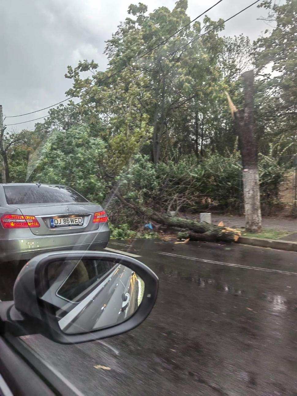 Furtuni violente în București și în orașe din alte șapte județe. Un adolescent a murit, alte trei persoane au fost rănite 1001043