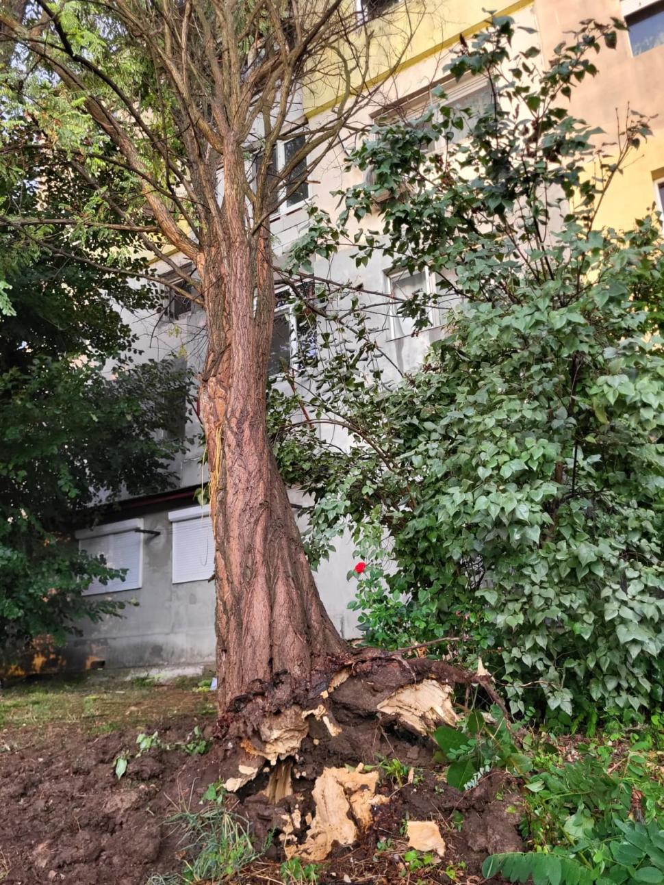 Furtuni violente în București și în orașe din alte șapte județe. Un adolescent a murit, alte trei persoane au fost rănite 1001074