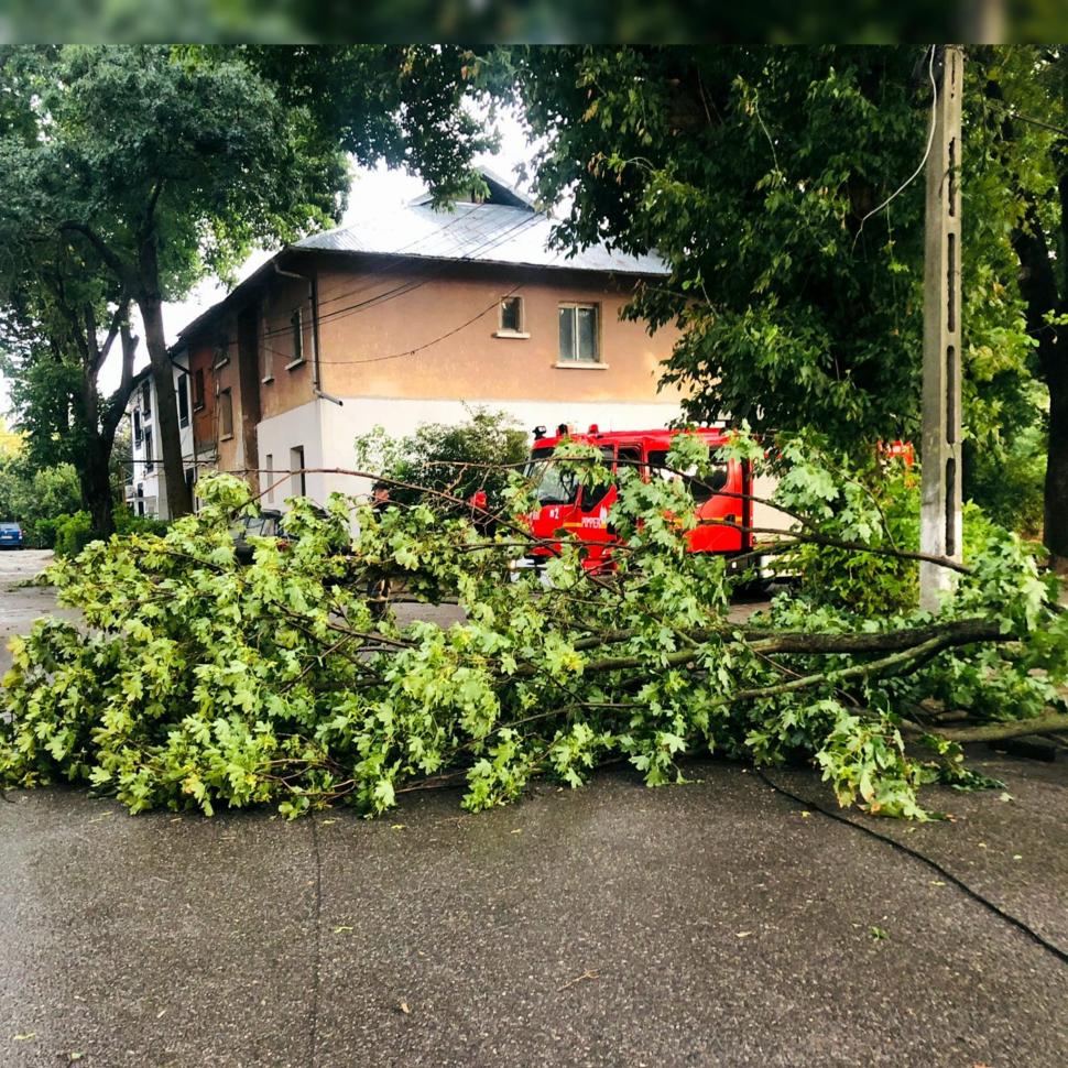 Furtuni violente în București și în orașe din alte șapte județe. Un adolescent a murit, alte trei persoane au fost rănite 1001075