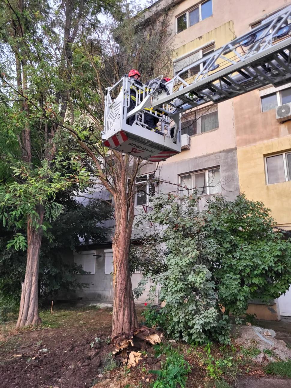 Furtuni violente în București și în orașe din alte șapte județe. Un adolescent a murit, alte trei persoane au fost rănite 1001077