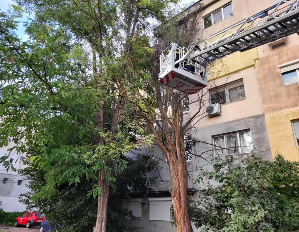 Furtuni violente în București și în orașe din alte șapte județe. Un adolescent a murit, alte trei persoane au fost rănite 1001078