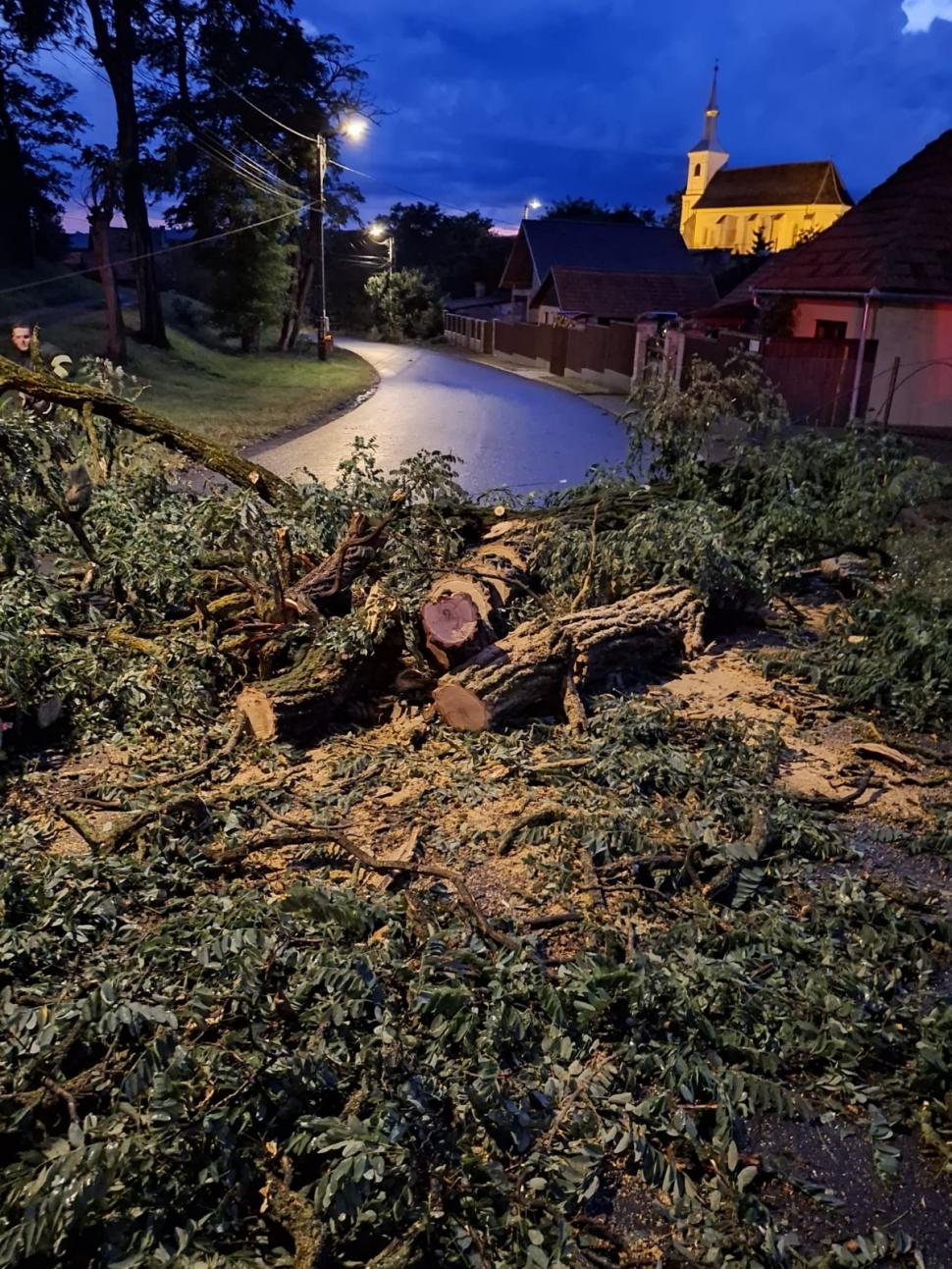 Furtuni violente în București și în orașe din alte șapte județe. Un adolescent a murit, alte trei persoane au fost rănite 1001081