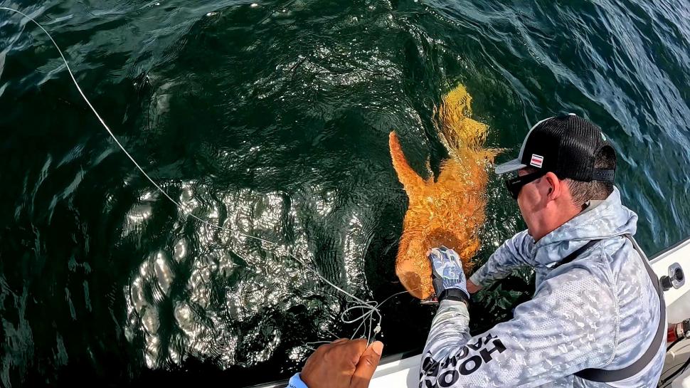 O creatură bizară i-a uluit pe câțiva pescari ieșiți în larg. Ce s-a prins, de fapt, în plasă 1000908