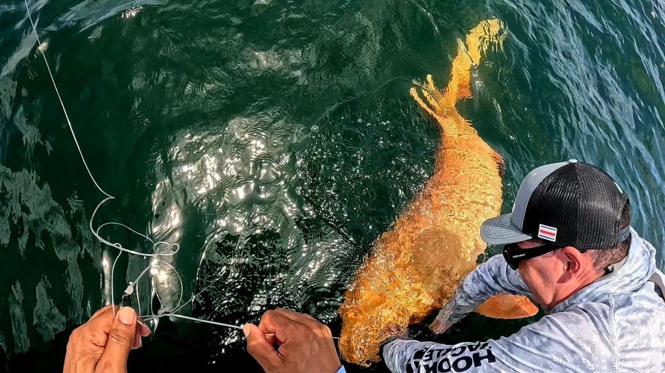 O creatură bizară i-a uluit pe câțiva pescari ieșiți în larg. Ce s-a prins, de fapt, în plasă 1000909