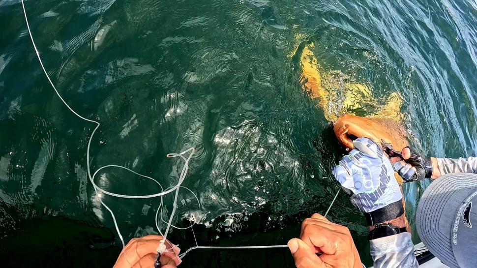 O creatură bizară i-a uluit pe câțiva pescari ieșiți în larg. Ce s-a prins, de fapt, în plasă 1000910