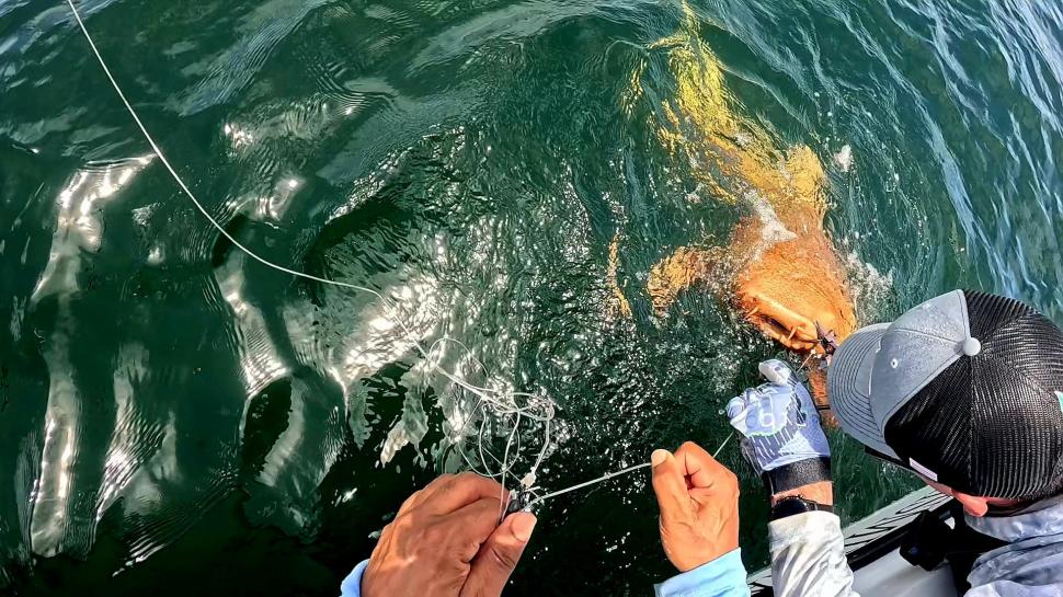 O creatură bizară i-a uluit pe câțiva pescari ieșiți în larg. Ce s-a prins, de fapt, în plasă 1000911