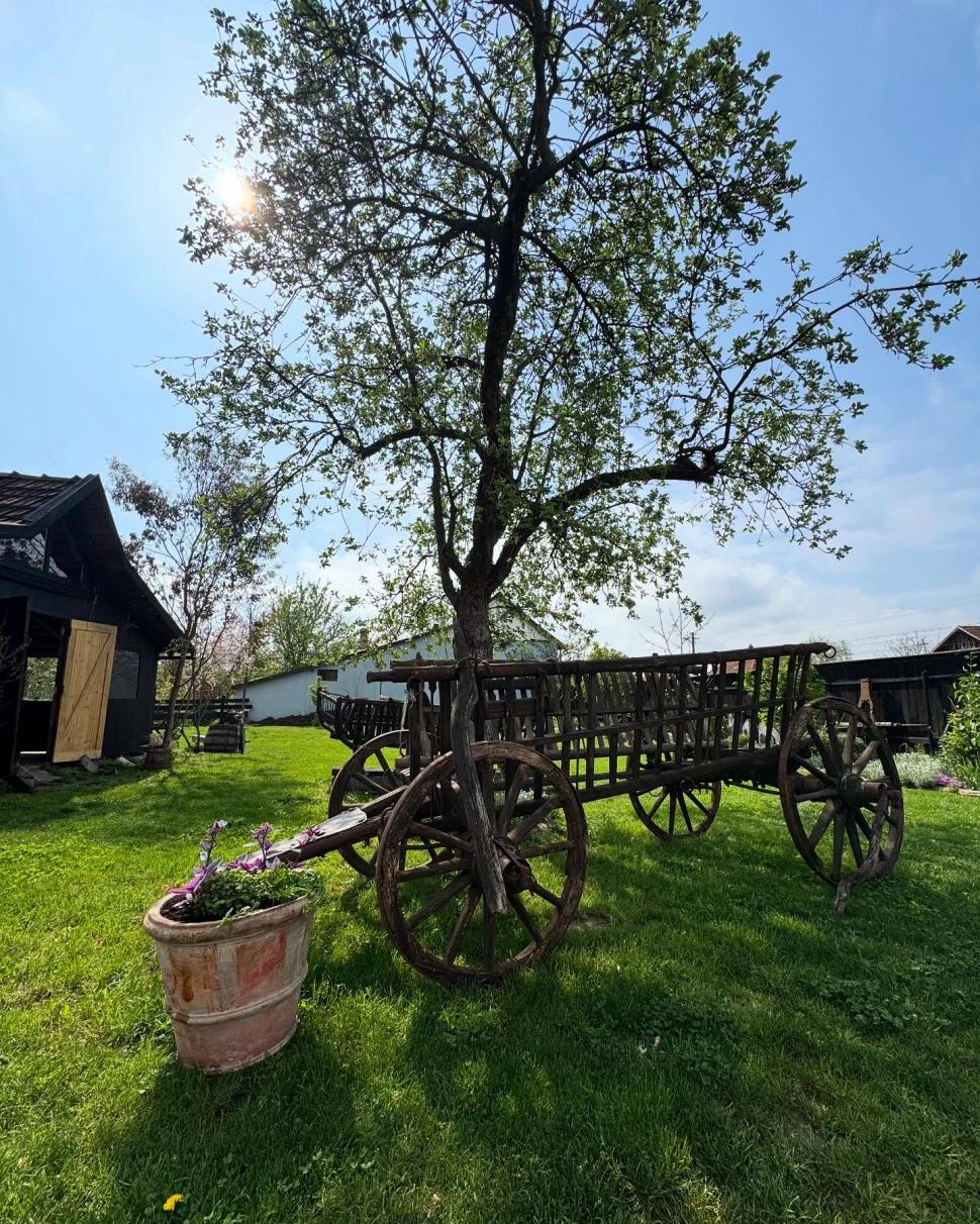 De la Șura transformată în popas, la Casa Curteană și muzeele satelor. Banatul e o experiență completă 1000981