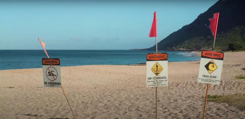 "Dragonul albastru", o creatură marină considerată dispărută, a închis mai multe plaje din Spania. Veninul său este periculos 1001300