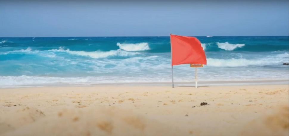 "Dragonul albastru", o creatură marină considerată dispărută, a închis mai multe plaje din Spania. Veninul său este periculos 1001302