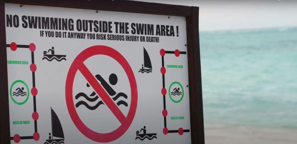 "Dragonul albastru", o creatură marină considerată dispărută, a închis mai multe plaje din Spania. Veninul său este periculos 1001308