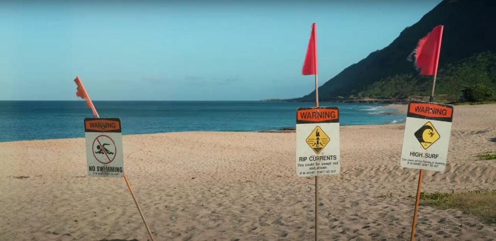 "Dragonul albastru", o creatură marină considerată dispărută, a închis mai multe plaje din Spania. Veninul său este periculos 1001309