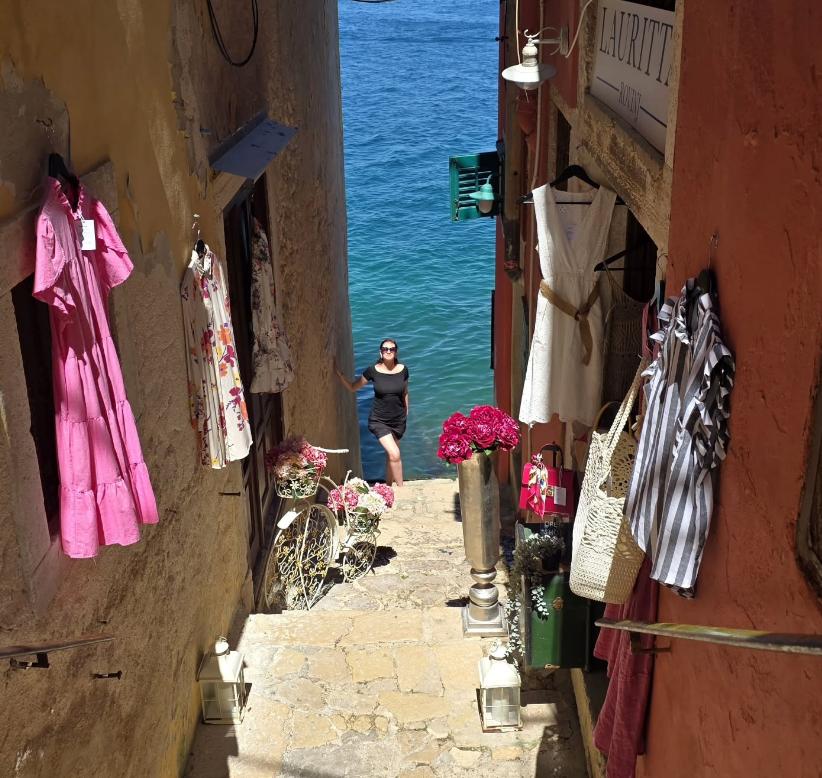 Cine e Inga Ruginiene, noul premier al Lituaniei. Abia a intrat în politică, dar Opoziția deja o critică 1001819