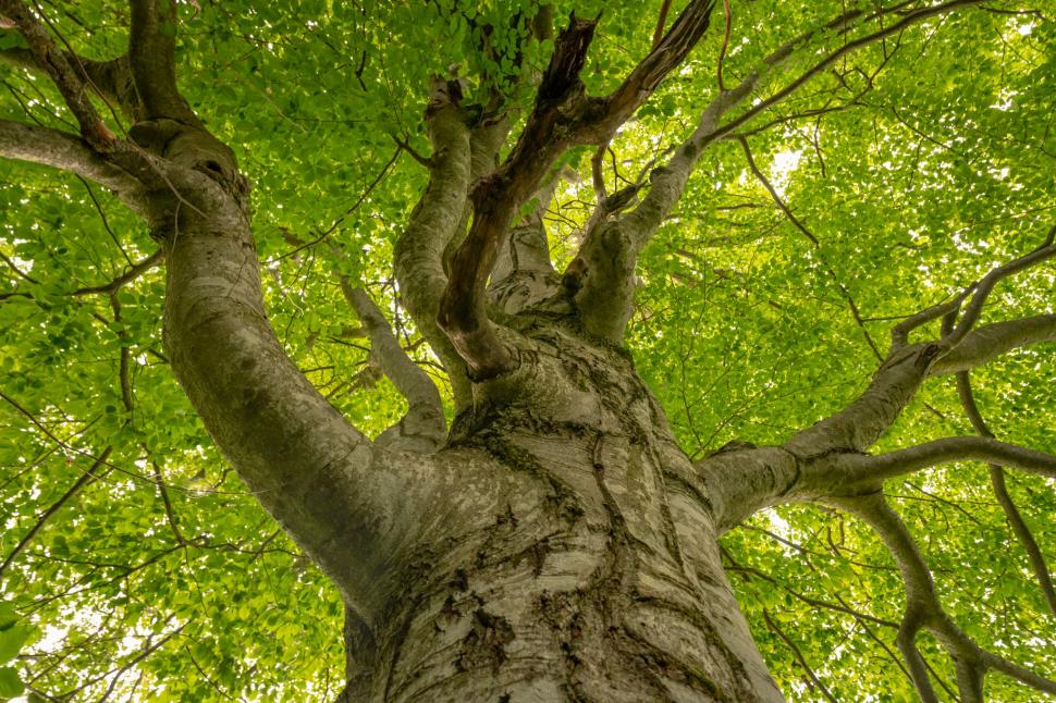 Comuna din România care are un traseu tematic nou, prin Munții Făgăraș: Drumeții vor avea „o experiență diferită” pe poteca de 3,7 km 1002171