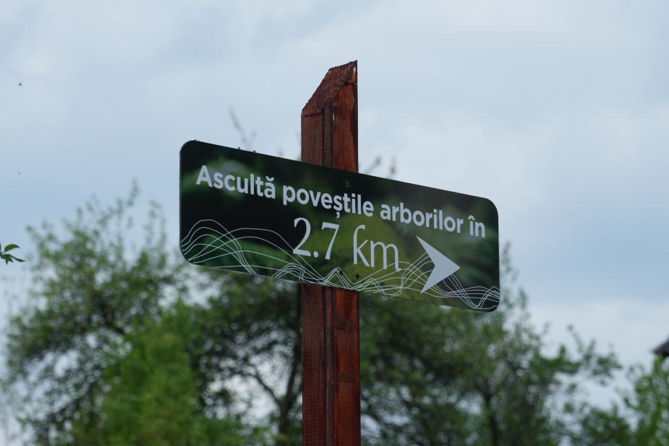 Comuna din România care are un traseu tematic nou, prin Munții Făgăraș: Drumeții vor avea „o experiență diferită” pe poteca de 3,7 km 1002176