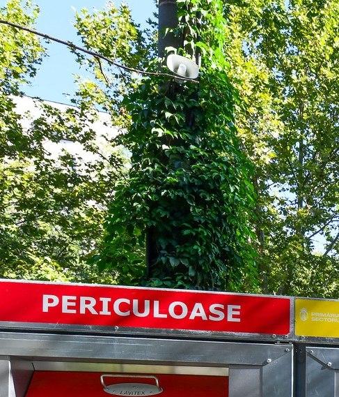 „Riști o amendă”: Unele tomberoane pentru reciclabile din București „vorbesc” cu oamenii și îi avertizează dacă încalcă regulile 1002130