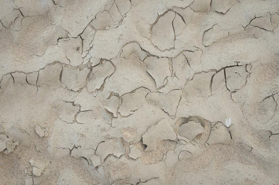 Imagini ca de film cu cel mai lung fluviu din Polonia care a dispărut aproape de tot. Acum, pe fundul albiei a început să iasă iarba 1002431