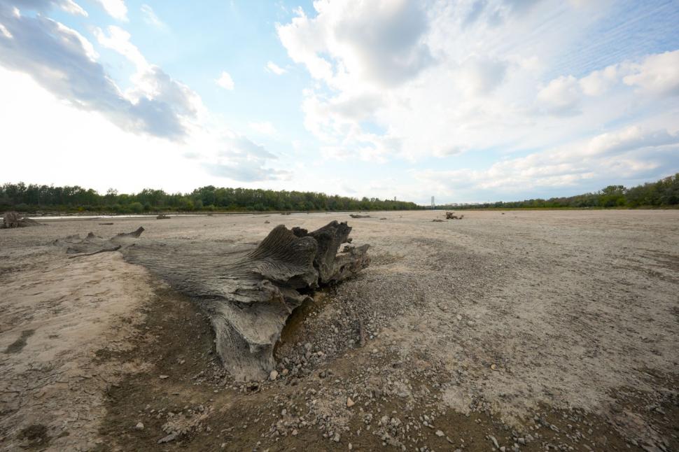 Imagini ca de film cu cel mai lung fluviu din Polonia care a dispărut aproape de tot. Acum, pe fundul albiei a început să iasă iarba 1002432
