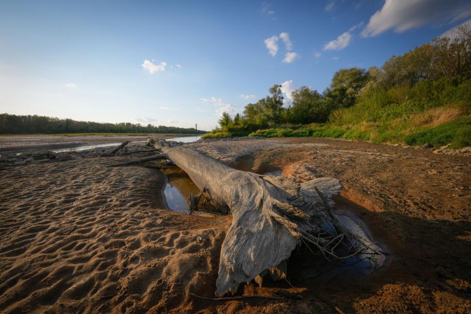 Imagini ca de film cu cel mai lung fluviu din Polonia care a dispărut aproape de tot. Acum, pe fundul albiei a început să iasă iarba 1002433