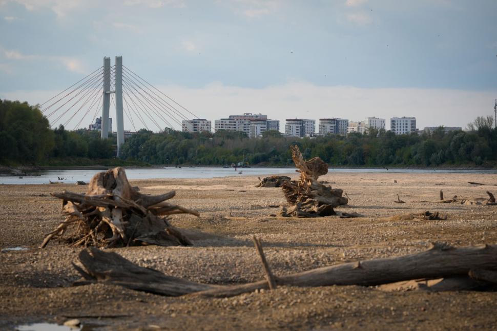 Imagini ca de film cu cel mai lung fluviu din Polonia care a dispărut aproape de tot. Acum, pe fundul albiei a început să iasă iarba 1002436
