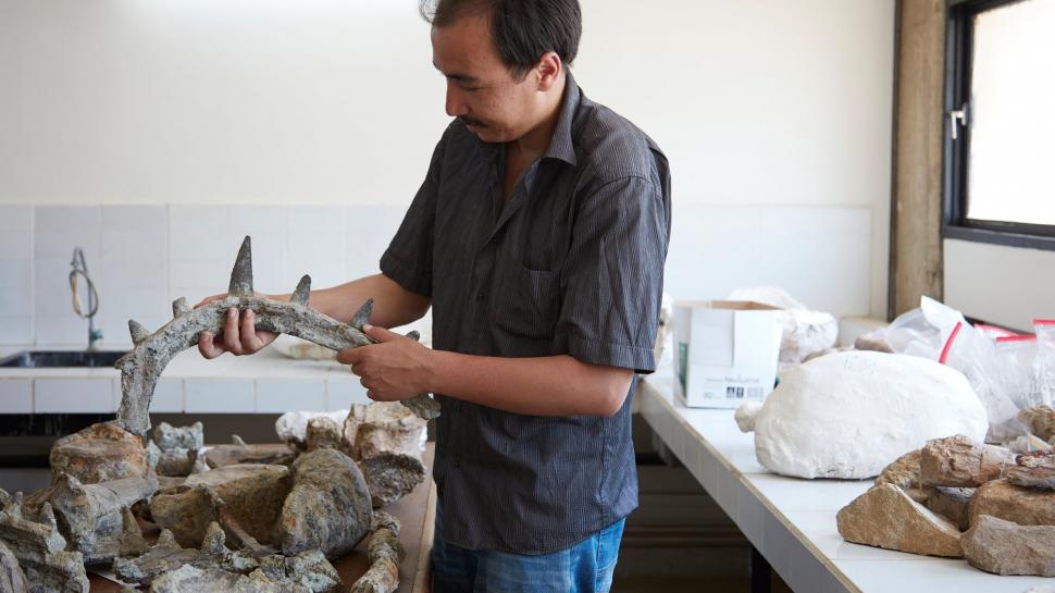 "Era absolut plin de țepi pe tot corpul". Fosilele celui mai vechi ankilozaur au fost găsite în Maroc. Cum arăta "tancul" Jurasicului 1002614