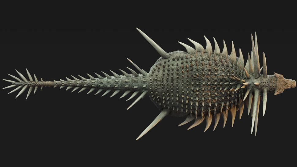 "Era absolut plin de țepi pe tot corpul". Fosilele celui mai vechi ankilozaur au fost găsite în Maroc. Cum arăta "tancul" Jurasicului 1002615