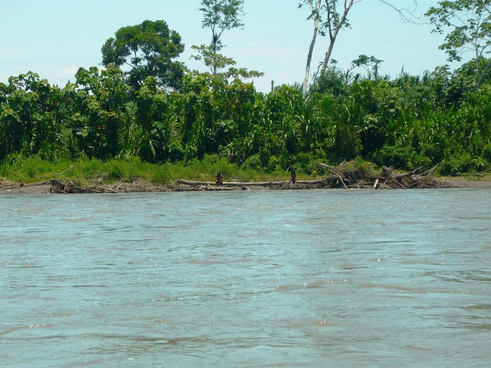 Lumea este îngrijorată pentru că un trib complet izolat de restul lumii a început să intre în contact cu străinii: „Sunt în pericol” 1003316