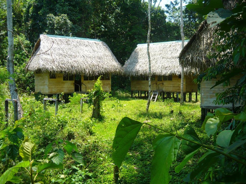 Lumea este îngrijorată pentru că un trib complet izolat de restul lumii a început să intre în contact cu străinii: „Sunt în pericol” 1003321