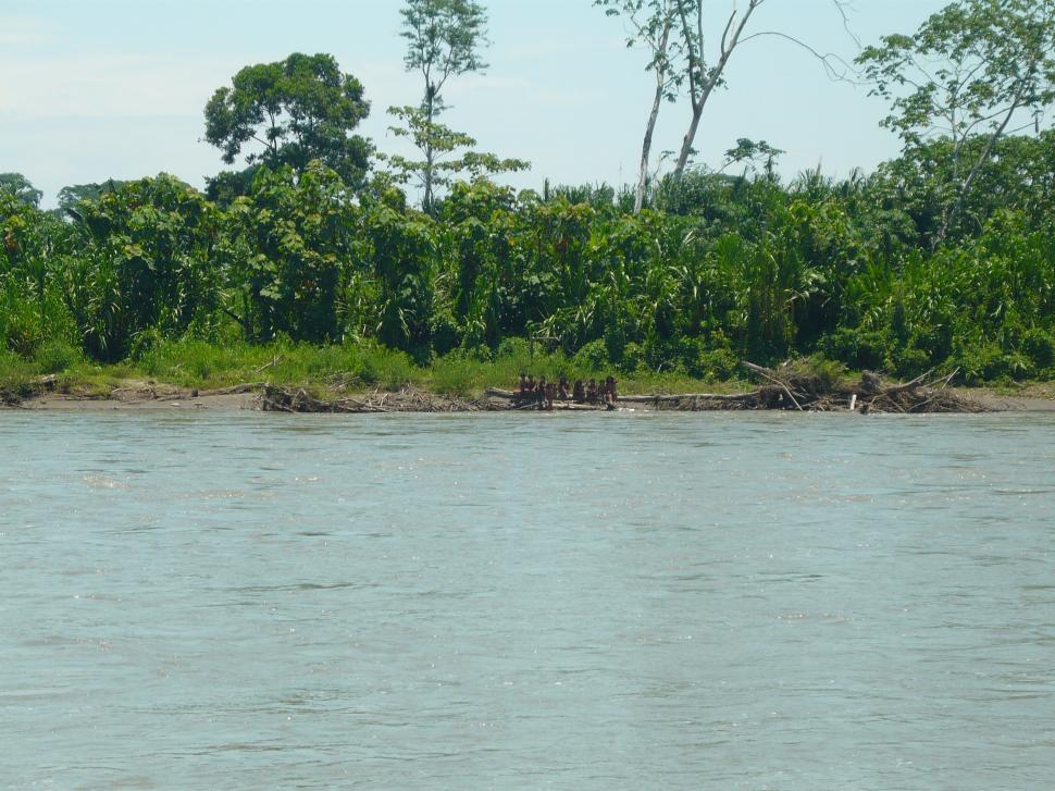 Lumea este îngrijorată pentru că un trib complet izolat de restul lumii a început să intre în contact cu străinii: „Sunt în pericol” 1003327