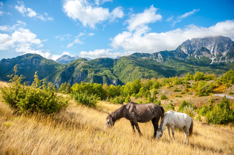 Noul magnet turistic al Europei. Albania nu mai e destinația ieftină de altădată: "Acum e ca Monaco. Localnicii nu mai au loc" 1003258