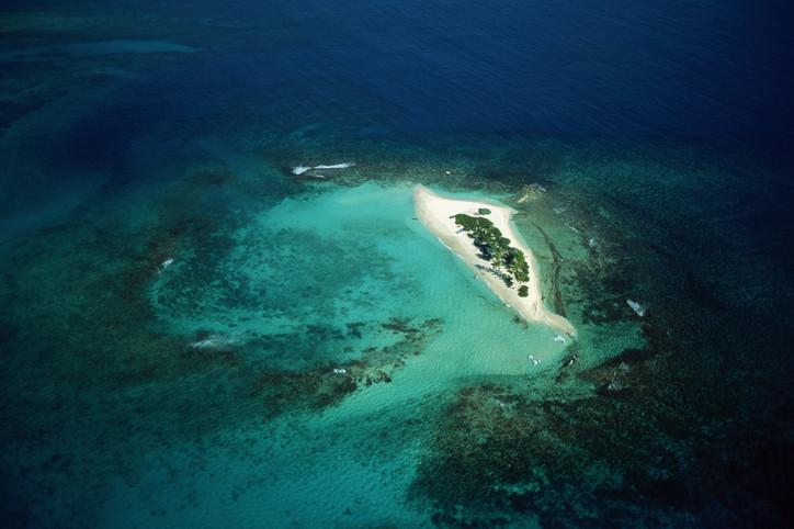 Un jackpot de zeci de milioane de dolari. Cum a ajuns un mic paradis din Caraibe să câștige o avere datorită adresei sale web 1003243