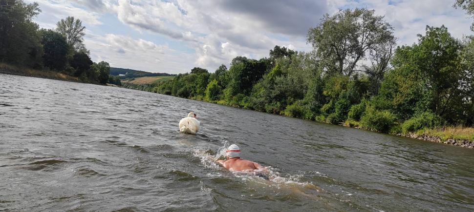 Un român a devenit oficial primul om din lume care a parcurs înot un continent: Avram Iancu a înotat 177 de zile fără costum de neopren 1003711