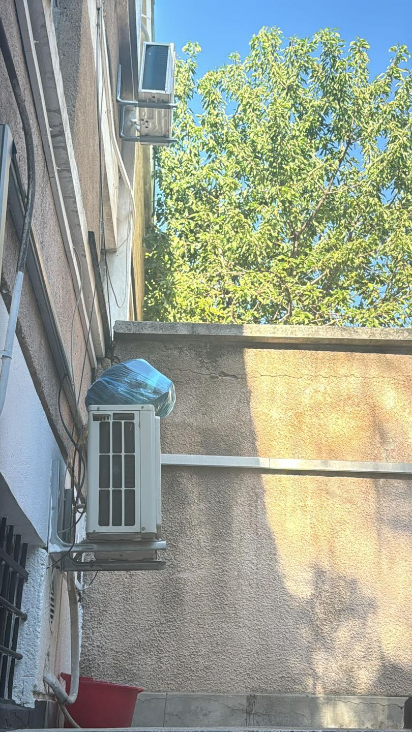 Mai mulţi agenţi au fost muşcaţi de ploşniţe în sediile Poliţiei Capitalei. 10 persoane au ajuns la spital 1004202