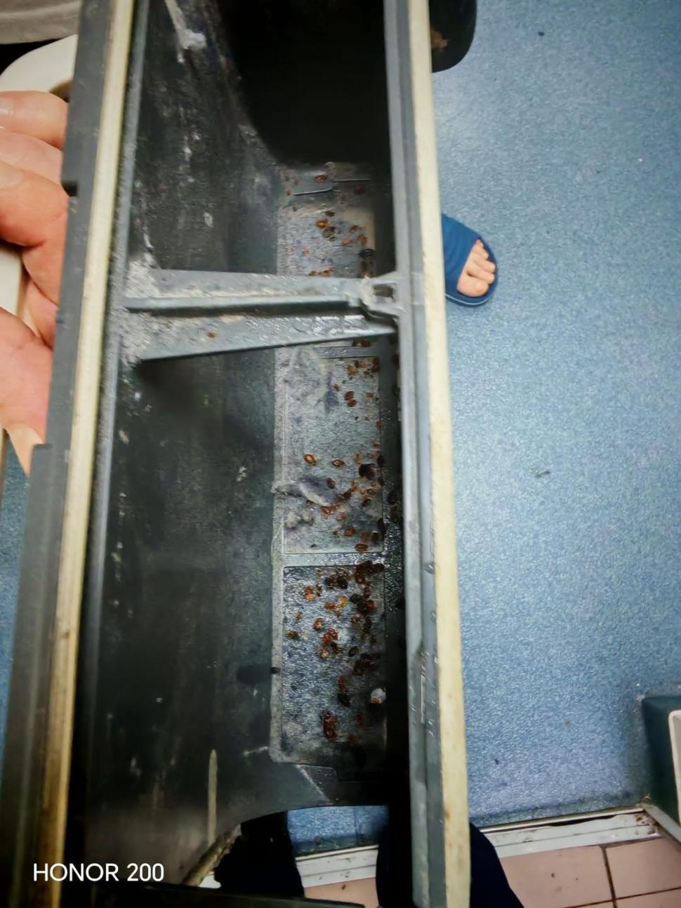 Mai mulţi agenţi au fost muşcaţi de ploşniţe în sediile Poliţiei Capitalei. 10 persoane au ajuns la spital 1004203